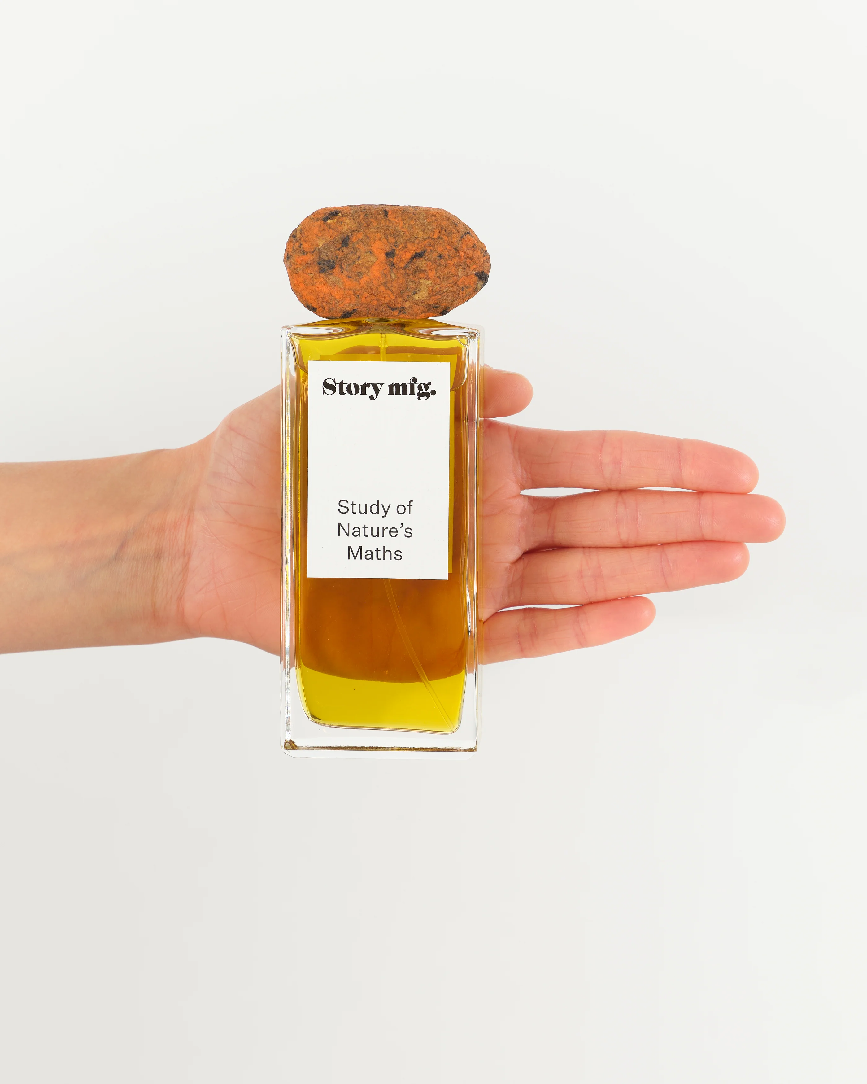 Eau De Parfum 100ml - Study of Nature's Maths - Image 2