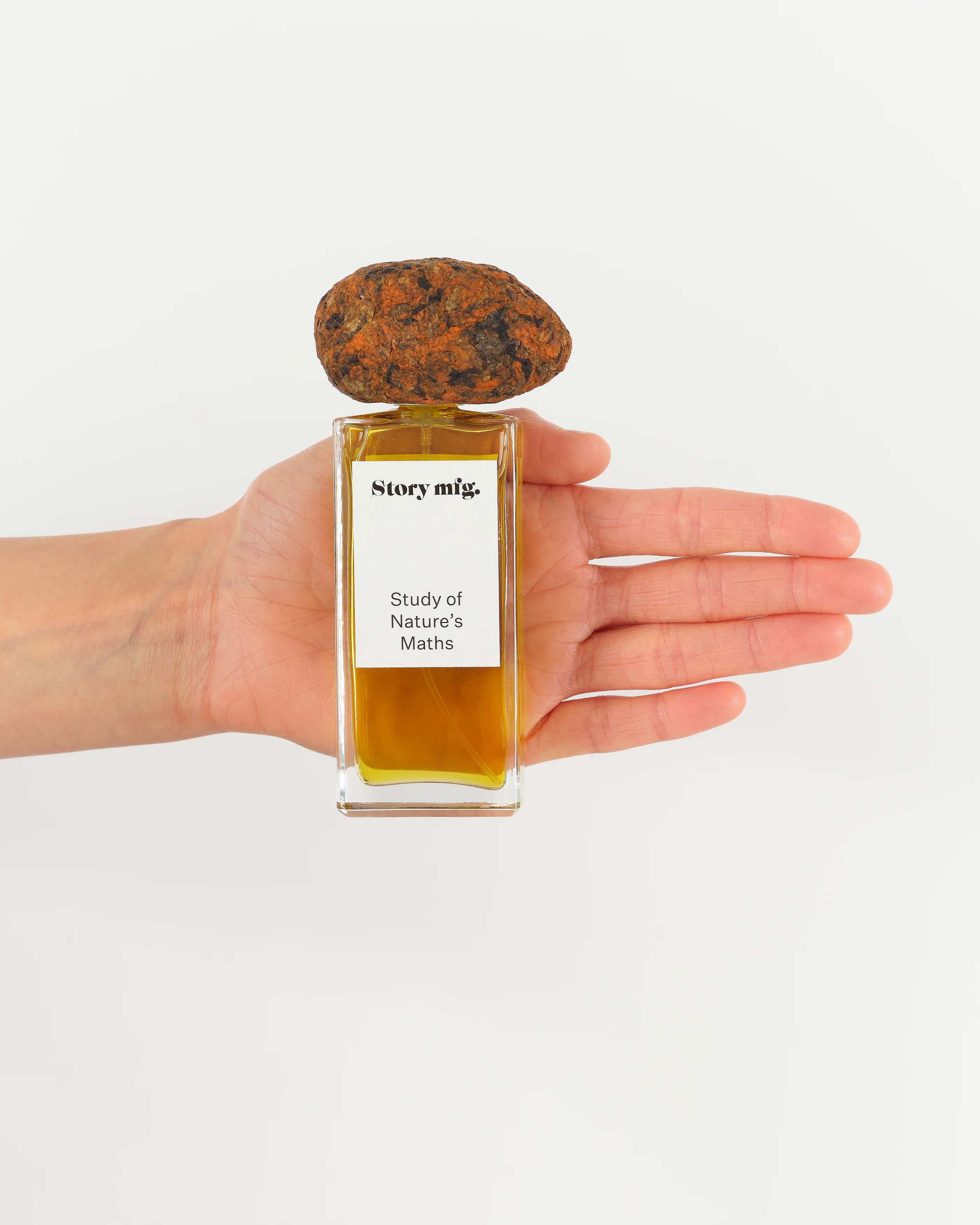 Eau De Parfum 50ml - Study of Nature's Maths - Image 2